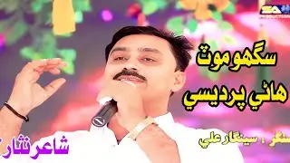 Sigo mot piyara hi zindagi Seenghar Ali.SA Zahra Production 2025