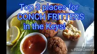 Top 3 restaurants in Florida Keys! For CONCH Fritters!