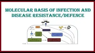 Molecular Basis of Infection and Disease Resistance Defence