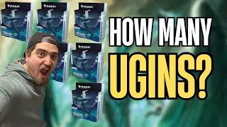 A CASE of Tarkir Dragonstorm Collector Box Openings