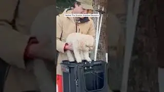 Сколько человек нужно, чтобы снять 1 видео?