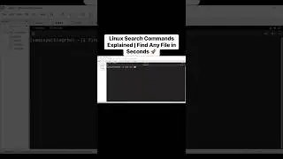 Linux Search Commands Explained | Find Any File in Seconds 🚀