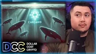 Cardano&rsquo;s Hidden Whales: The Secret Power Behind ADA