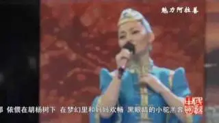 哈琳 Halin - 黑眼睛的小驼羔 Little Black-eyed Camel