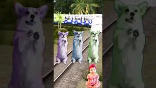 3 Cute dog standing on railway track vs cute baby stop the high speed train #trending#shortsfeed