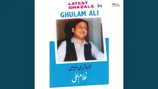 Jo Bhi Dukh Yaad Na Tha