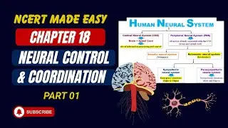 Neural Control and Coordination | Part 01 | Human Neural System | NCERT Line by Line Explain | NEET