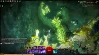 Guildwars 2 - How to: Tagotl Grounds Point of Interest
