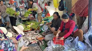 An Incredible of Cambodian Food Market - Fresh Vegetables, Cheap Breakfast, Snacks @Food Market