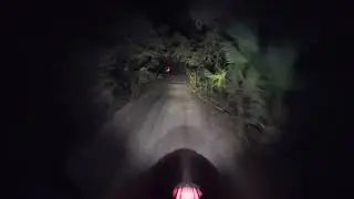 Epic After-Dark Dual Sport Adventure &ndash; CRF450RL + KTM 350/500 EXC-F Ocala National Forest