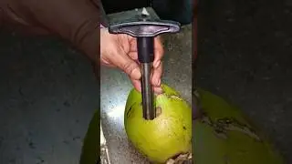 coconut opener tool 🌴#countrydelight #coconut #review#viral
