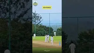 Revenge on Peak #cover #artist  #animation #nothingimposibleinthisworld #bowlinggame #cricket