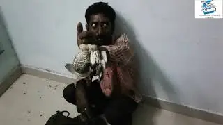 Modern Bird pocher arrested.