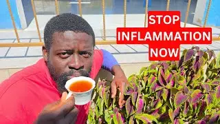 10 противовоспалительных травяных чаев для повышения энергии, уменьшения боли и улучшения здоровья 🌿
