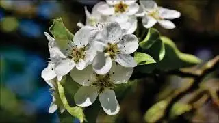 M&uacute;sica para Relajar /  Piano & Guitar /  Deeper Heaven Music