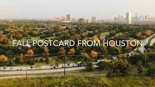 Fall in Houston 2019