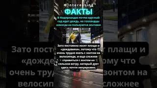 ФАКТЫ #facts #interesting #beats #interestingfacts #lofi #music #factsshorts