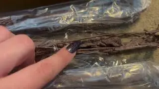 Quick overview of these Small Artificial Tree Branches...
