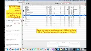 2270. Safari Networking send nearly 4 Million packets
