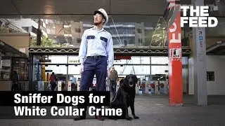 Sniffer Dogs for White Collar Crime