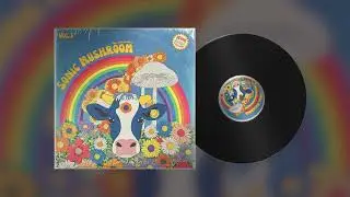 Psychedelic Soul Samples - Sonic Mushroom - Sample Previews