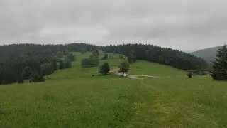 GSS 2024 Dzień 11