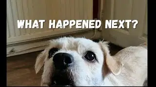 Find out what happened with Ethel and 