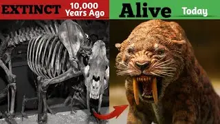 5 Dangerous EXTINCT Animals that might still be Alive || Thrilling Info 