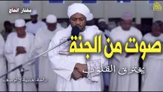 ترتيل لم يسبق له مثيل 🎧 استمع لتهدأ روحك وعقلك. #مختار_الحاج