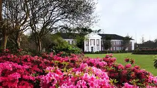 Nicholls State University Fall Commencement 2020 - College of Sciences and Technology (Test)