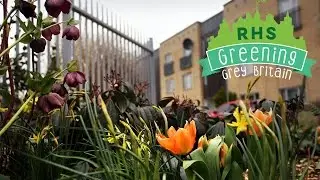 RHS Greening Grey Britain Front Garden Summit | Greening Great Britain | Royal Horticultural Society