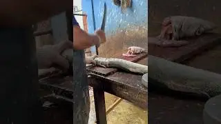 Giant Barracuda Fish Cutting Skills
