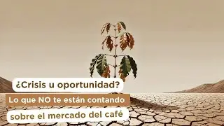 ¿Crisis u oportunidad? Lo que NO te están contando sobre el mercado del café | Ep. 307