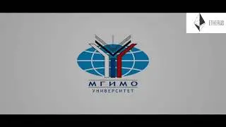 IT Компания Etherus   Выступление в МГИМО