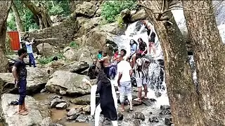 Yercaud Waterfalls kiliyur Tamilnadu Mini-ooty