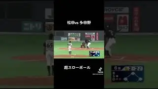 松田vs多田野