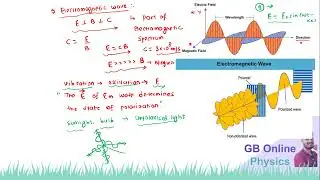 POLARIZATION 1