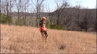 Hat Trick for JB (Rabbit Hunting)