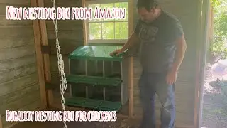New Nesting Boxes From Amazon: Rurality Nesting Boxes for Chickens Review