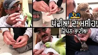 Pachiyaan Da Masiha Vipan Bhatia | Entertainment Da Ghaint Show | PBN Music Channel