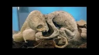 UFO Documentary 2020 : True Evidence About UFOs Must Watch Unexplained Mysteries || UFO Documentary