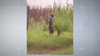 Ingenio Magdalena denuncia invasi&oacute;n de grupo criminal en fincas