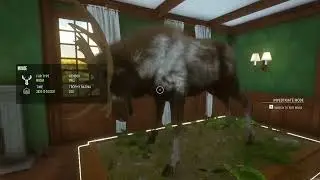 theHunter&trade;  Call of the Wild   Windows 10 2025 01 03 19 20 19