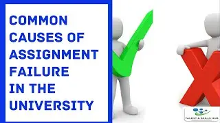 Common Causes of Assignment Failure in the University | Talent and Skills HuB