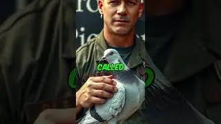 Project Pigeon in WWII  #history #facts #shorts #shortsvideo