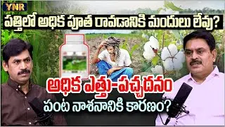 High Altitude Farming: Excess Greenery, Zero Yield? | Prathibha Biotech Rajasekhar Reddy | YNR
