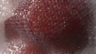 Subsurface Scattering Test - Blender/EEVEE