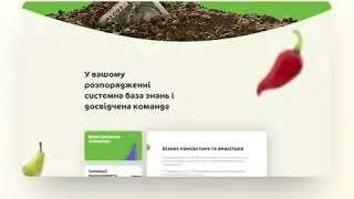 Лендинг для &laquo;Organic Expert Consulting&raquo;
