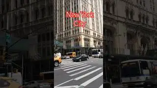 New York City #shorts #youtubeshorts #nyc #dinaradica @DinaRadicaFilms