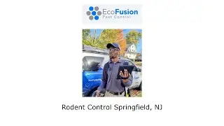 Rodent Control Springfield, NJ - EcoFusion Pest Control